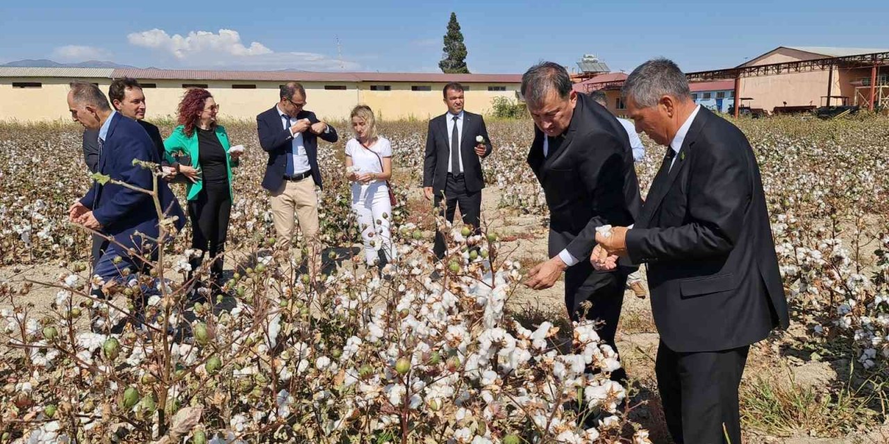 Türkmenistan pamuğuna Nazilli desteği