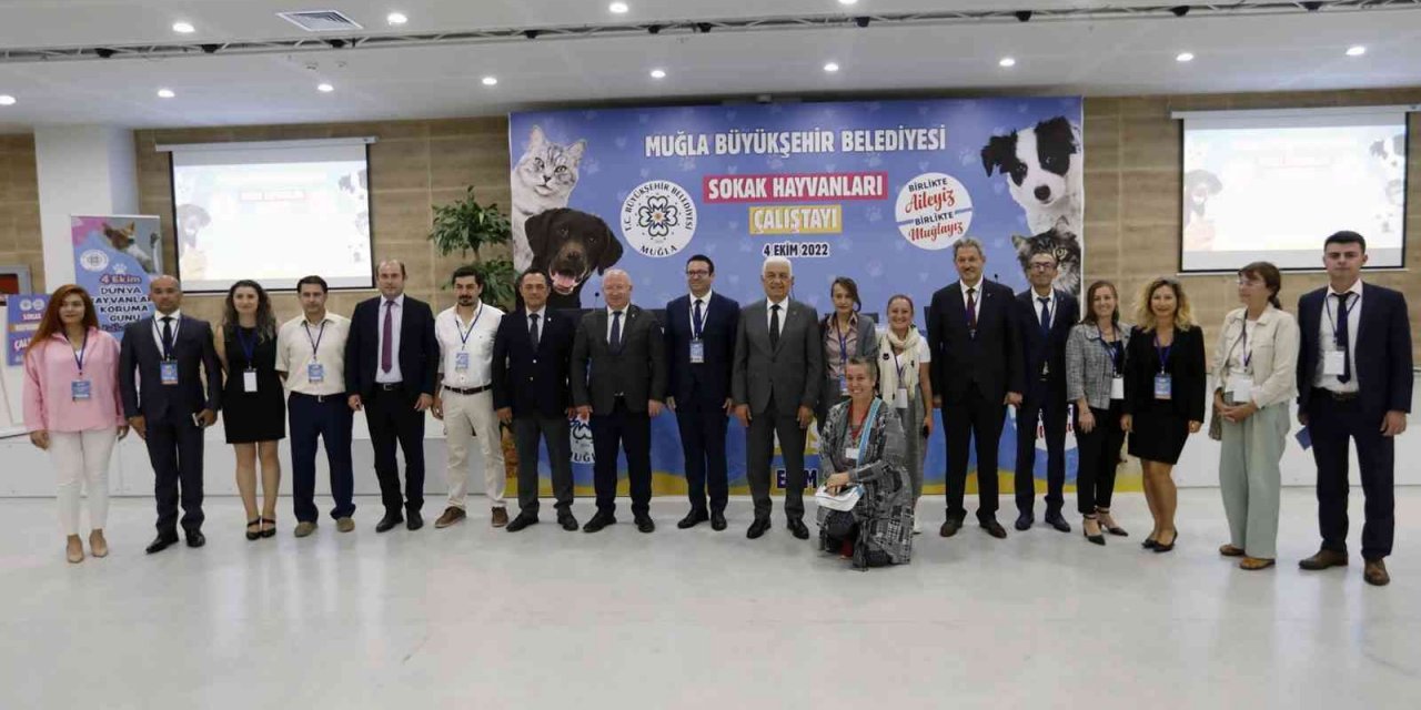 Sokak Hayvanları Çalıştayı’nın sonuç bildirgesi yayınlandı