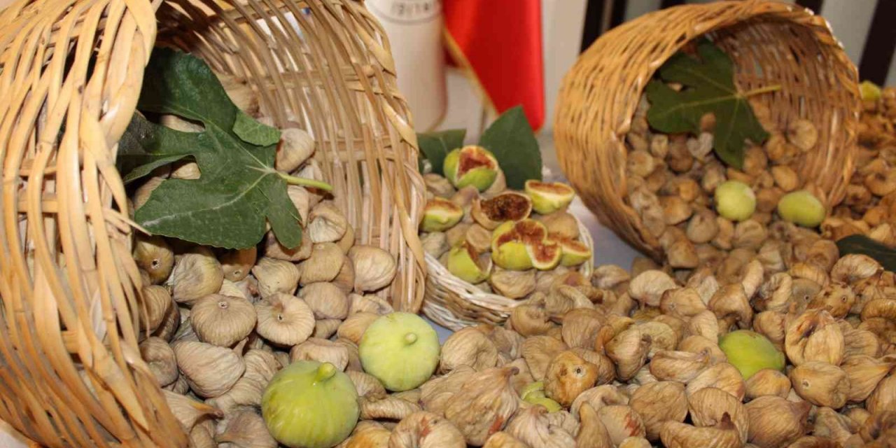 Aydın incirinin ihracat yolculuğu başladı