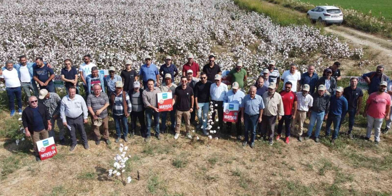 Pamuk tarlasında yeni çeşitler konuşuldu