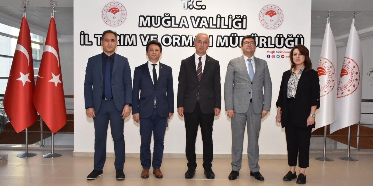 Tarım ve Orman İl Müdürü Saylak, projelerini Vali Yardımcısı Soykan’a açıkladı