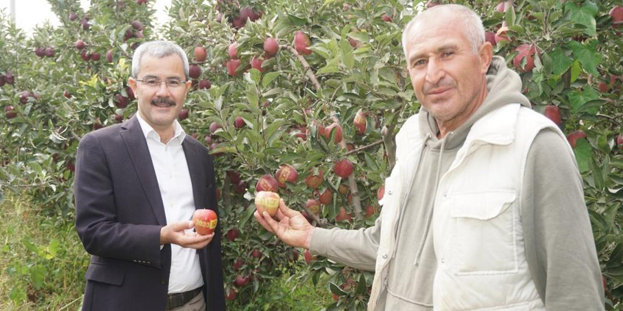 Çivril elması Cumhurbaşkanı Erdoğan’a hediye edildi