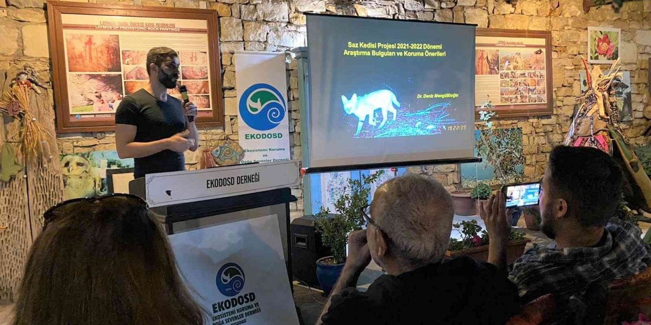 Aydın’da nesli tehlike altında olan Saz Kedisi konuşuldu