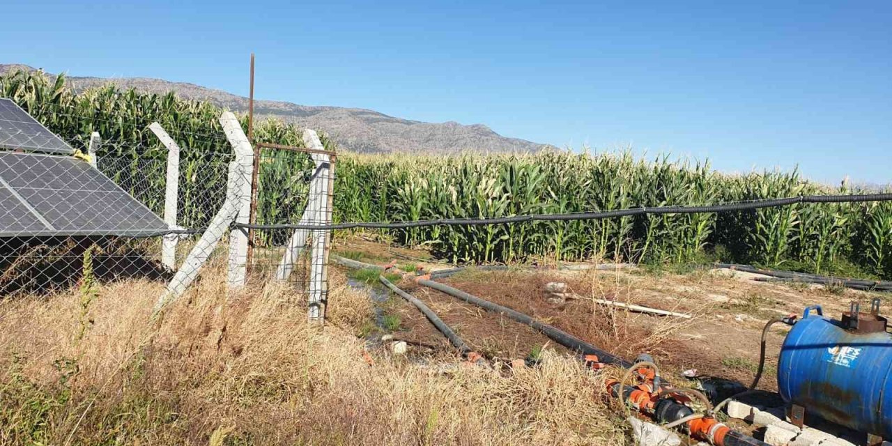 Hibe desteğinden yaralanan yatırımcıların denetimi sürüyor