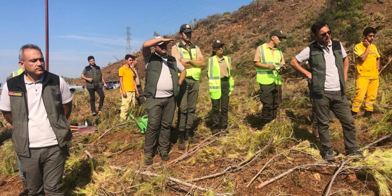 Köyceğiz ve Dalaman Orman İşletmelerinin silvikültür tatbikatı yapıldı
