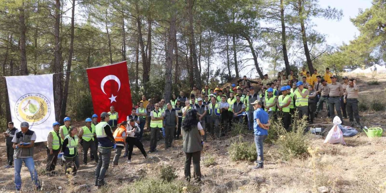 Yatağan, Milas ve Kavaklıdere İşletme Müdürlüklerinin Silvikültür tatbikatı yapıldı