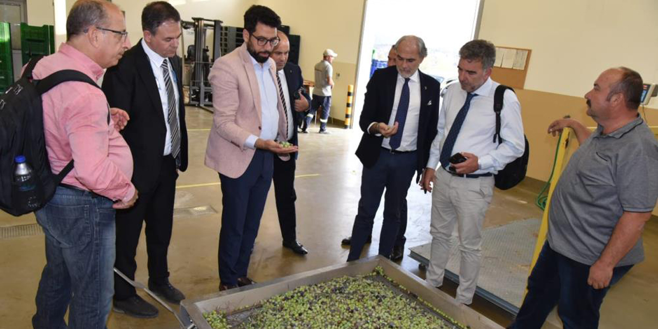 Yurt dışından gelen zeytin dostu kentlerin heyeti Aydın’da ağırlandı