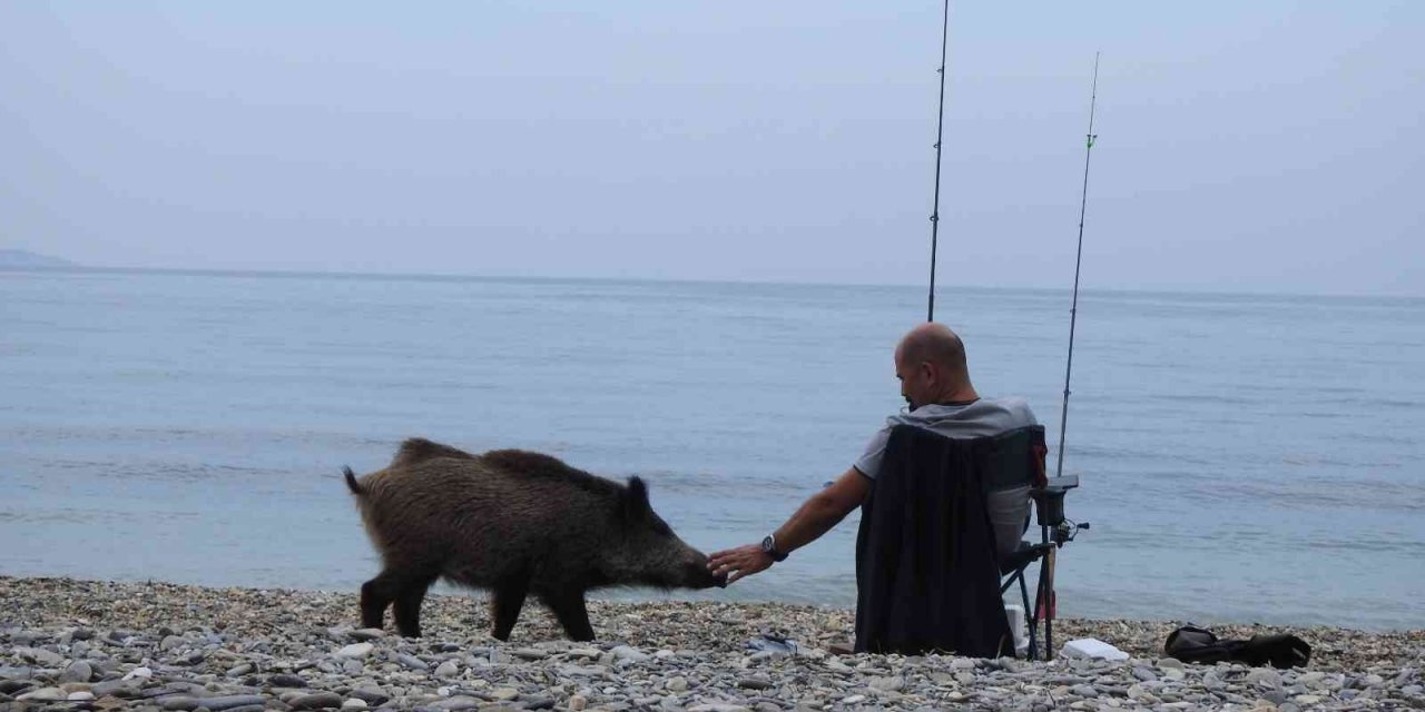 Manisalı kamu fotoğrafçıları Dilek Milli Parkı’nı fotoğrafladı