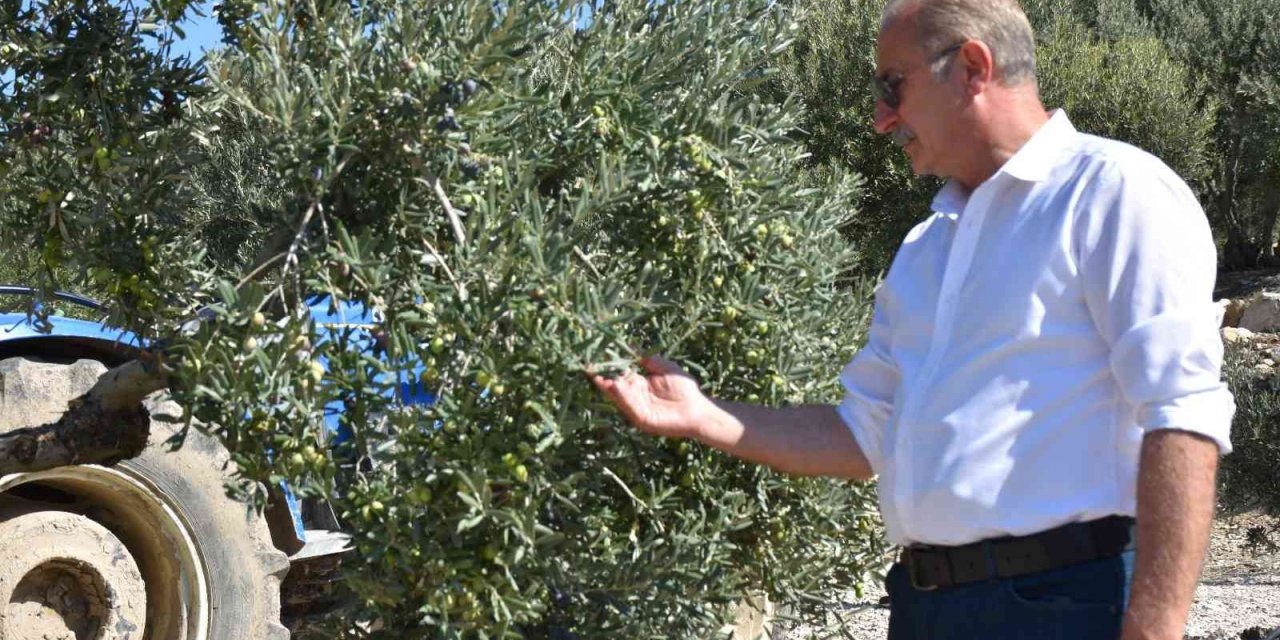 Didim Belediyesi Türkiye’de bir ilke imza attı