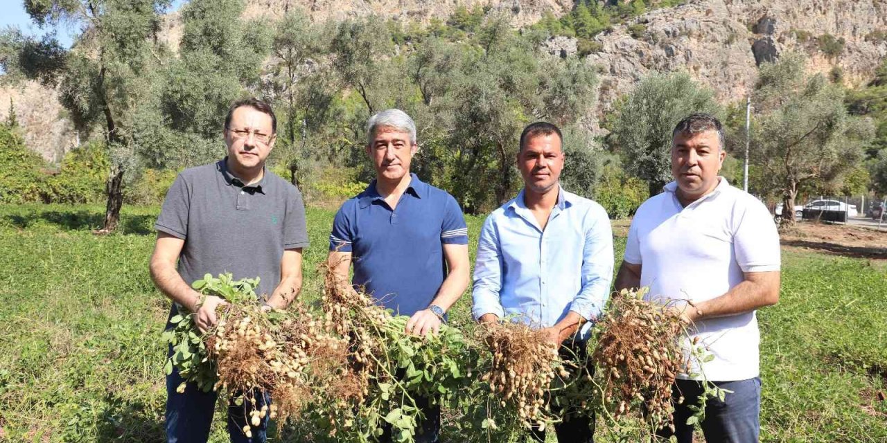 Başkan Oktay, “Üretmenin gururunu yaşıyoruz”