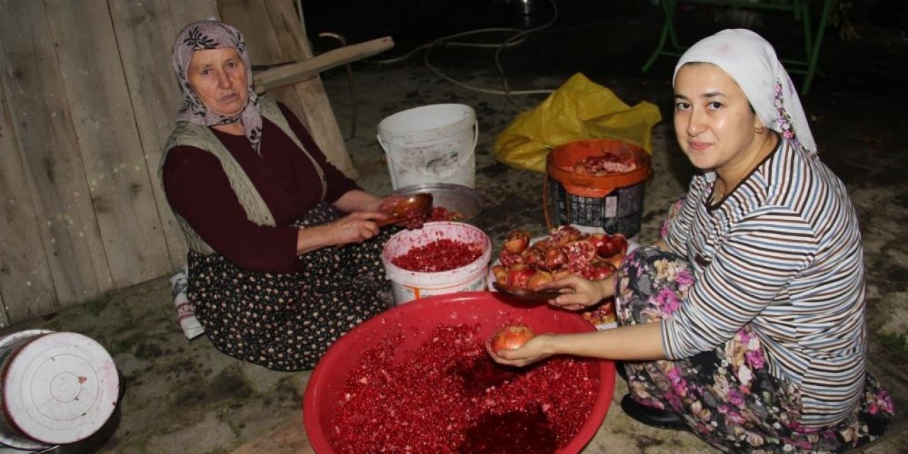 Aydın’da nar ekşisi telaşı başladı