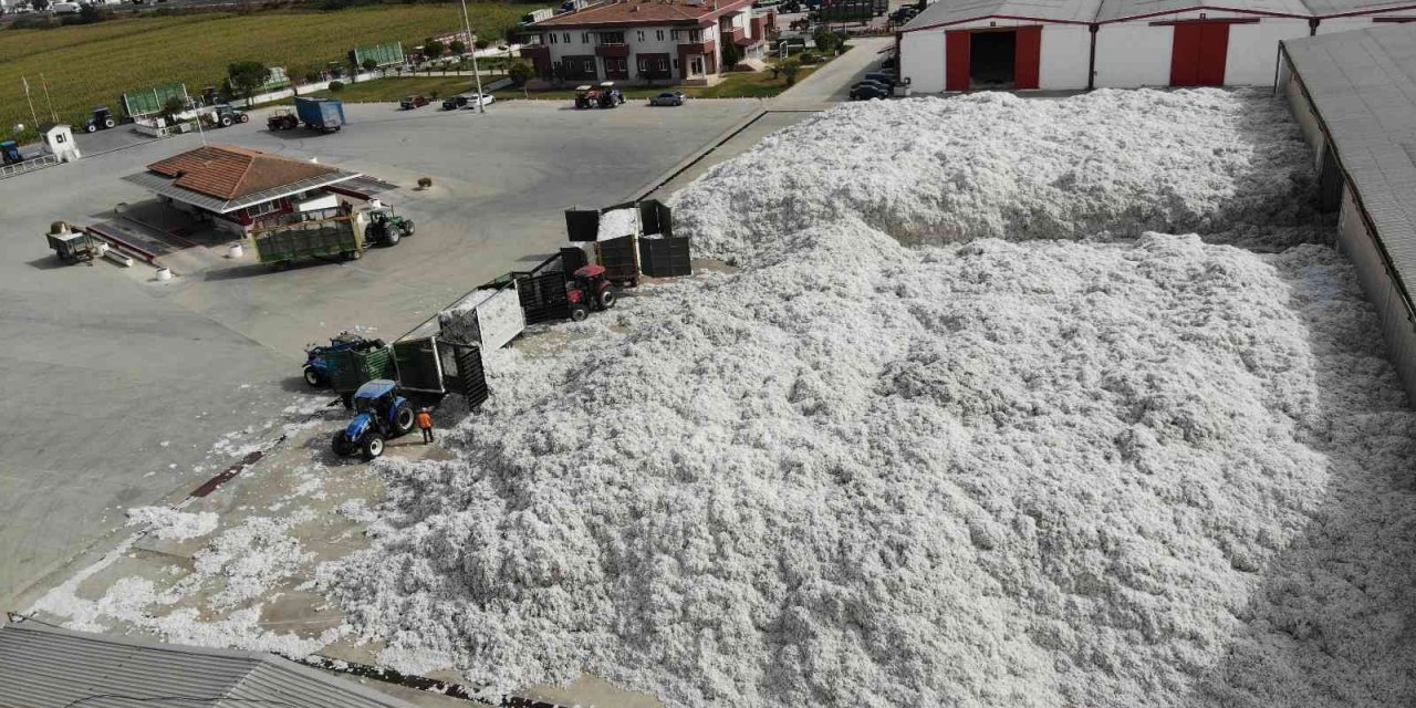 TARİŞ’e rağbet arttı, depolar 10 bin 200 ton pamukla doldu