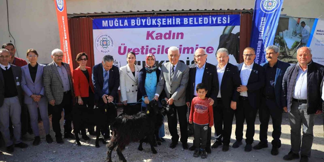 Muğla Büyükşehir Belediyesi’nden Yatağan’a Kıl Keçisi desteği