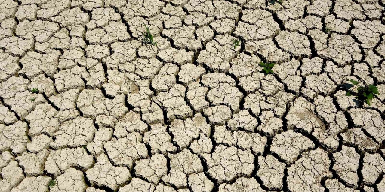 Ege, son 20 yılın en kurak sezonunu yaşıyor