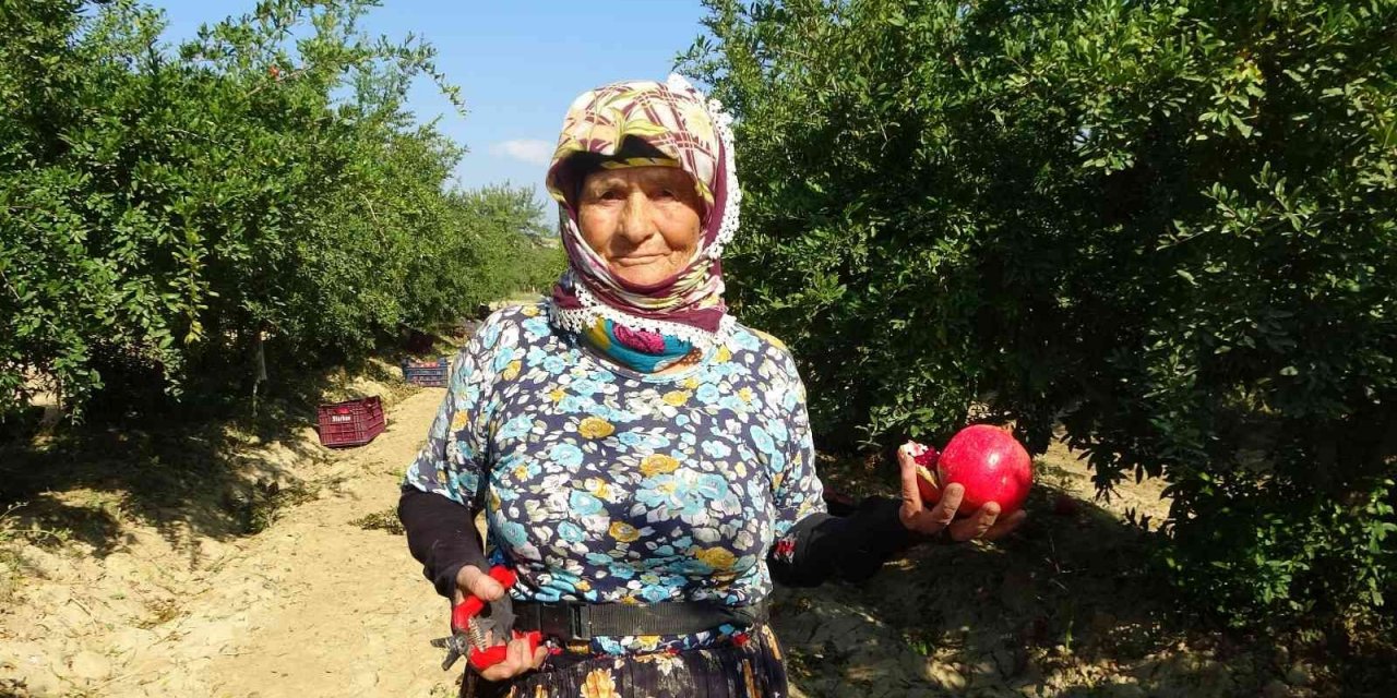 64 yaşındaki Zehra Teyze, gençlere taş çıkartıyor