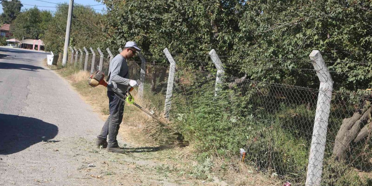 Efeler’de yabani ot temizliği