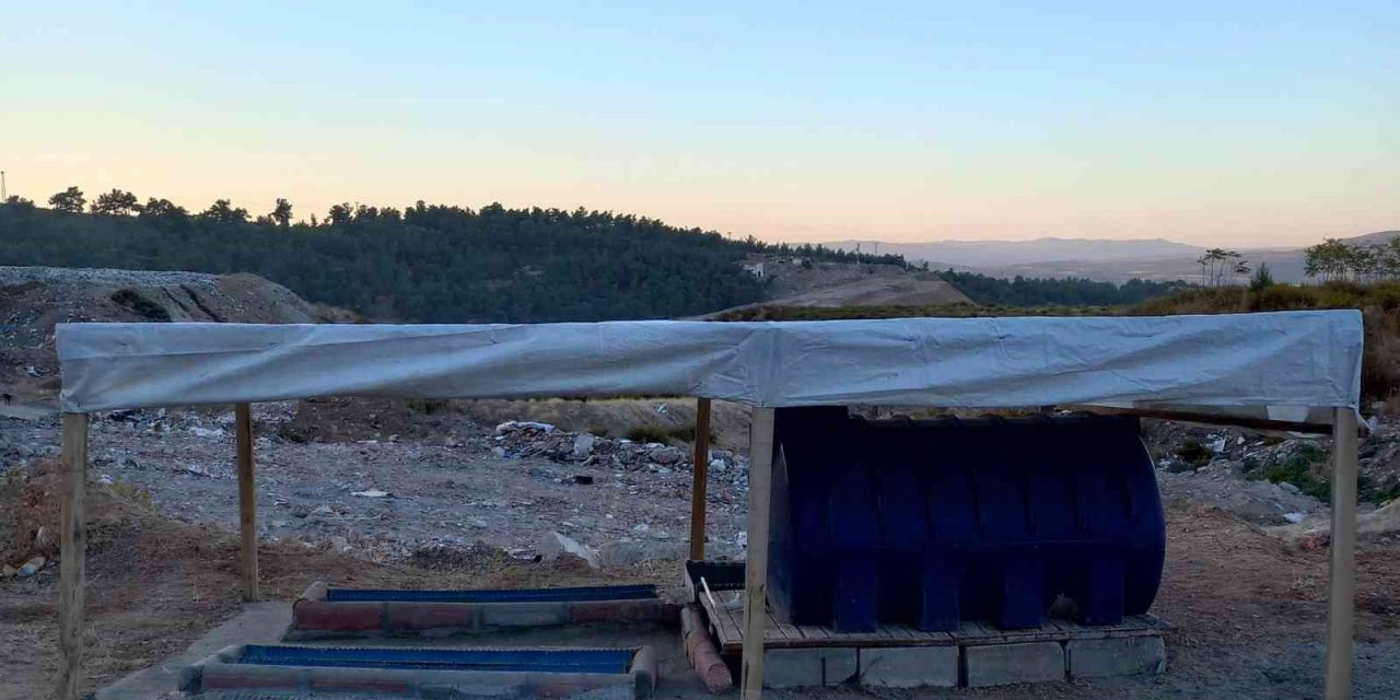 Soma Belediyesi’nden doğal yaşama yemlik ve suluk