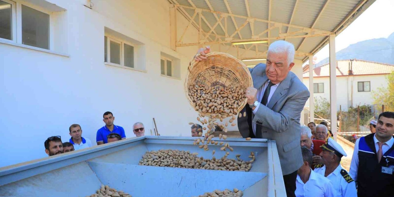 Datça Bademini ve Zeytinciliği yaygınlaştırılacak