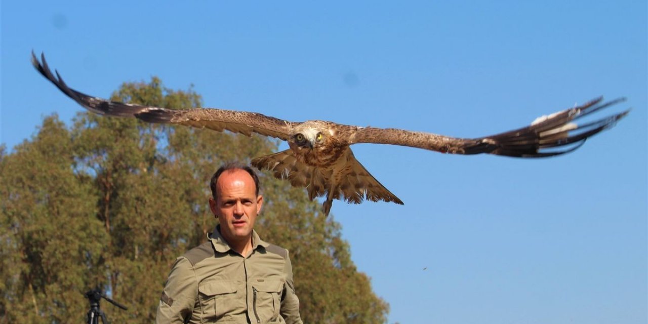 Balıkçıların dikkati, yılan kartalını kurtardı