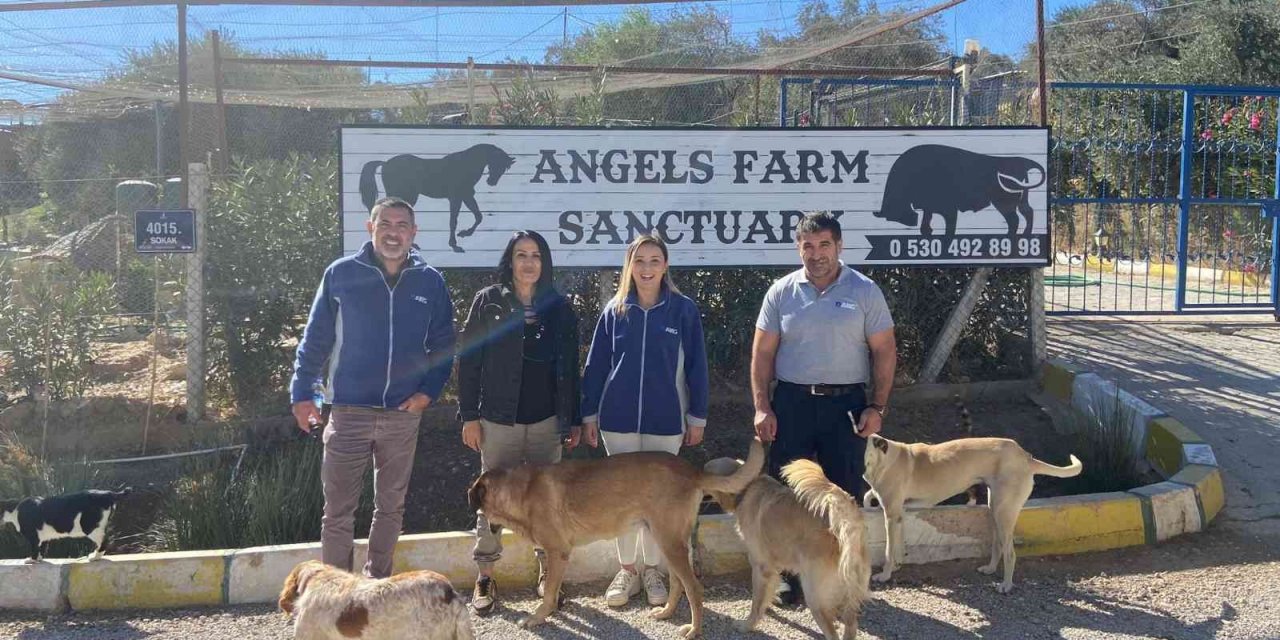 AKG Türkiye ve Angels Farm Sanctuary, doğal yaşam için el ele