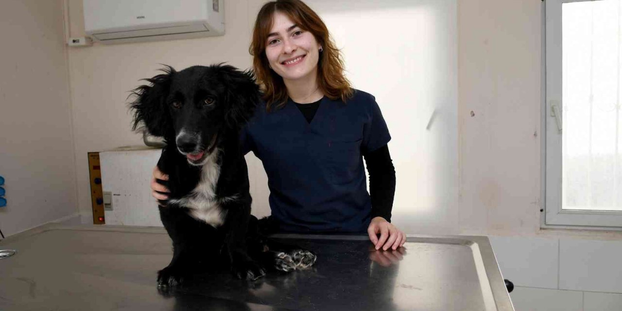 Özel yürüteçle hayata tutunan ‘Karam’ yeni sahibini bekliyor