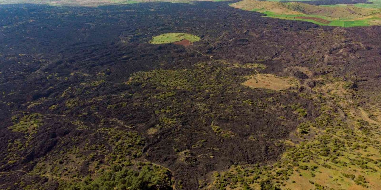 Yanık ülkenin rengi TOGG’u süsleyecek
