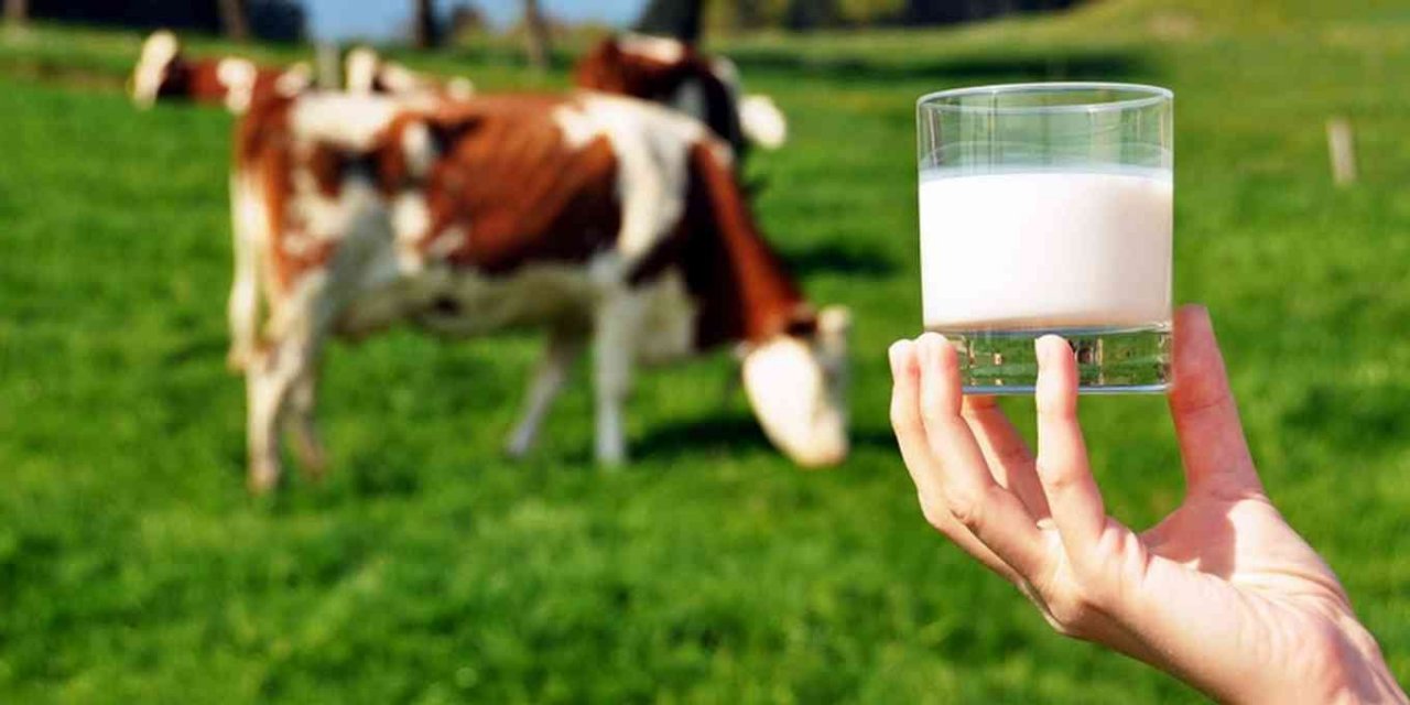 Çiğ süt destekleme ödemesi yatırılmaya başladı