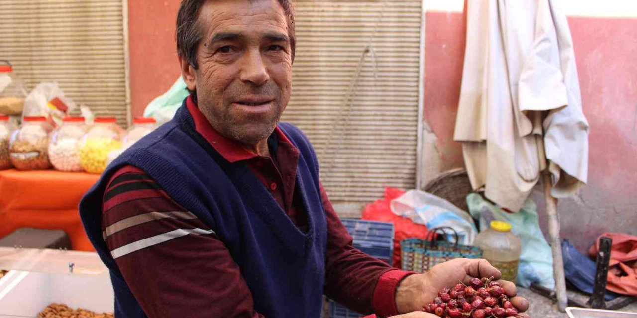 Dağlardan gelen şifa kaynağı kuşburnuna rağbet arttı