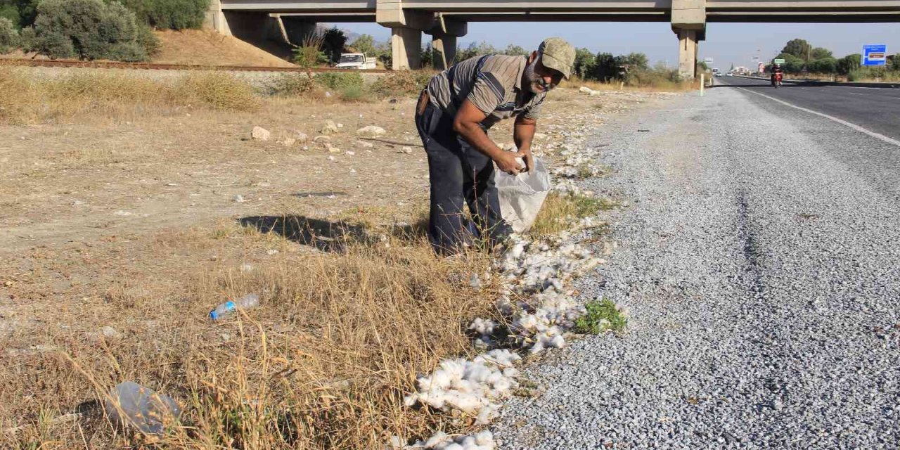 Karayolundan pamuk topluyorlar