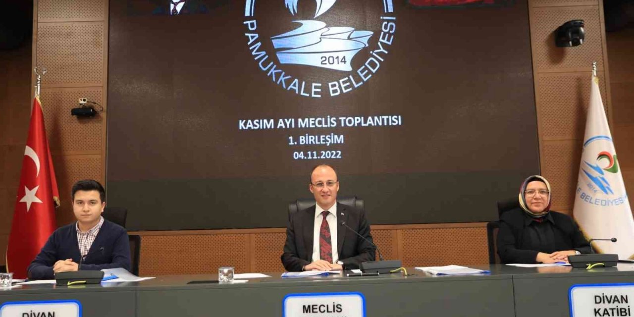 Pamukkale Belediyesi 10 adet ‘Pamukkale’ renkli Togg alacak