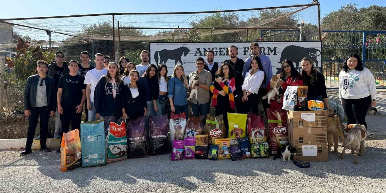 Üniversite öğrencileri, kurtarılmış hayvanlara umut oldu