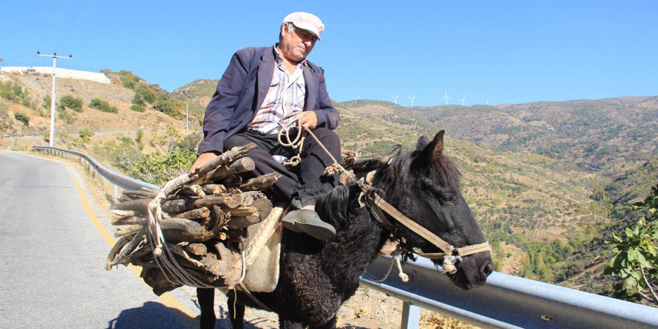 Aydın’da geleneksel kış hazırlıkları başladı