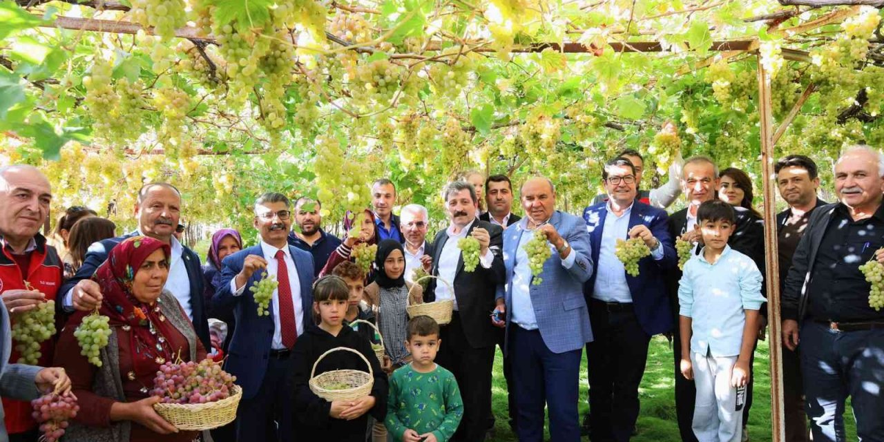 Arsa mahallesi Agro turizm merkezi oluyor