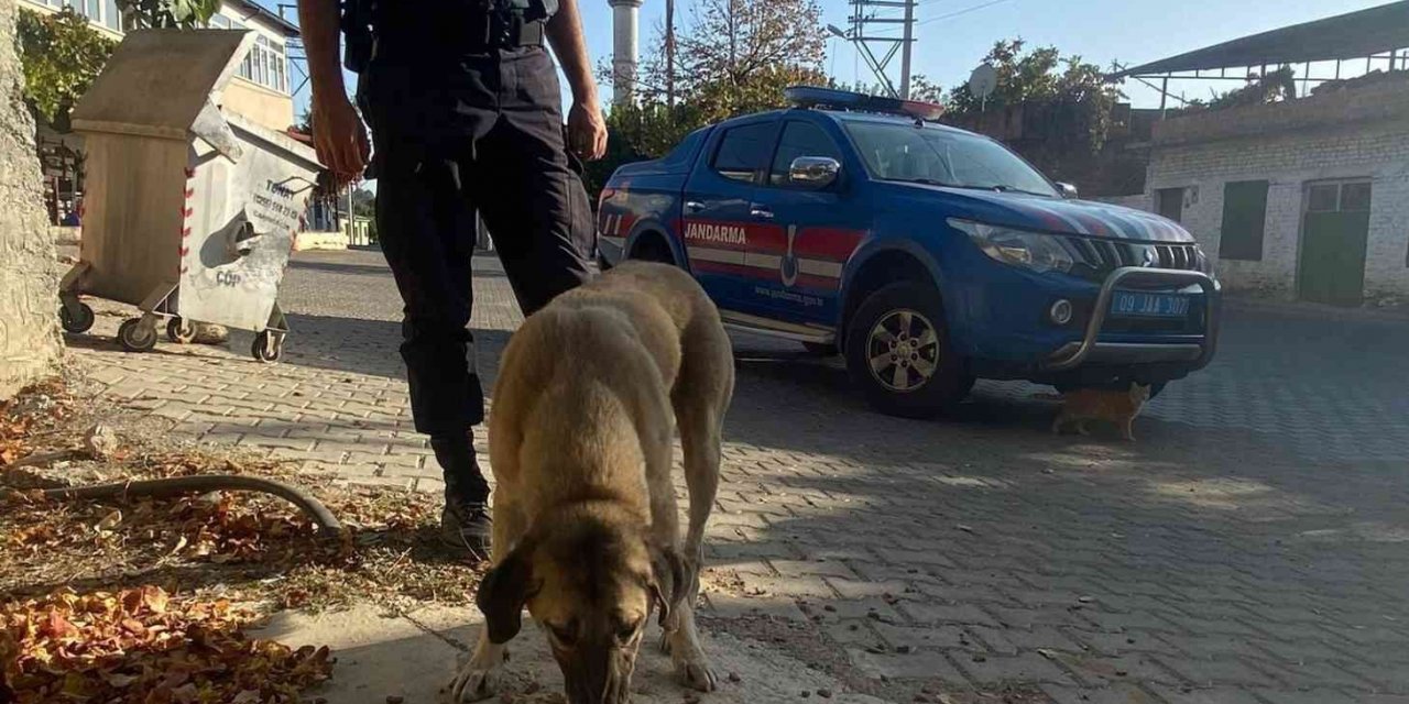 Jandarma sokak hayvanlarını unutmadı