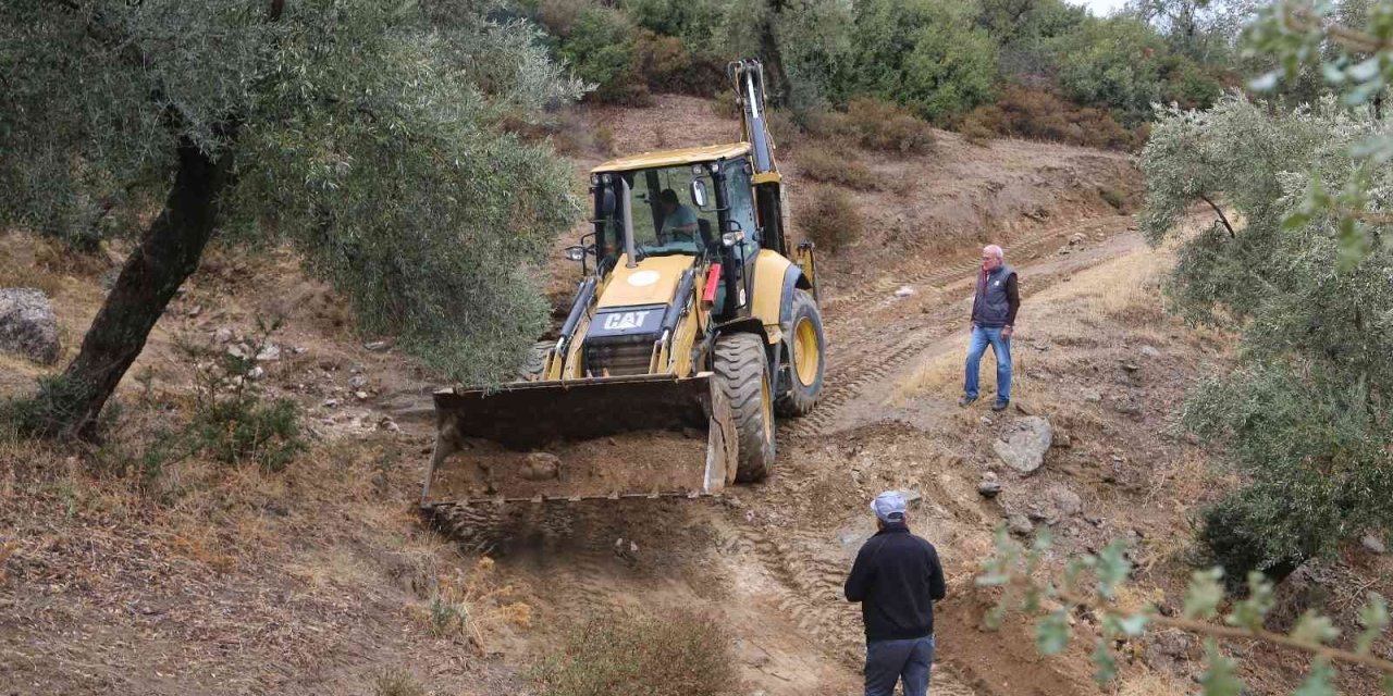 Efeler Belediyesi zeytinlik yollarını açıyor