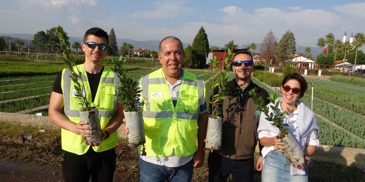 Marmarisli gönüllüler binlerce fidan ile 11 Kasım’a hazırlanıyorlar