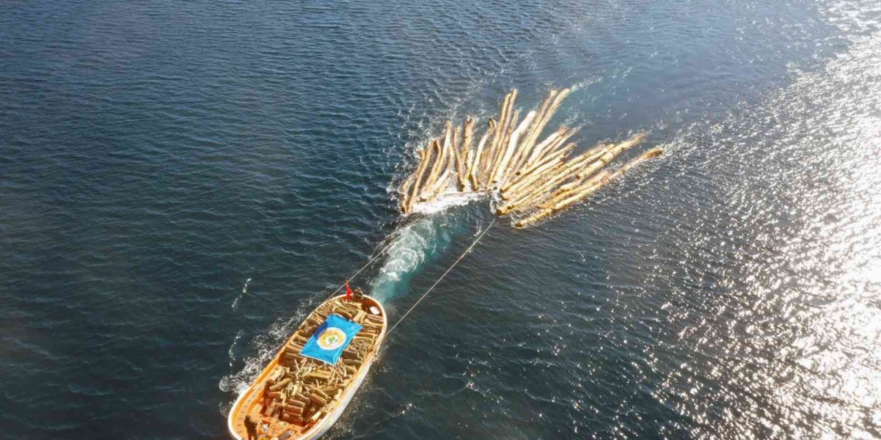 Karadan ulaşım yok, tomruklar denizden taşındı