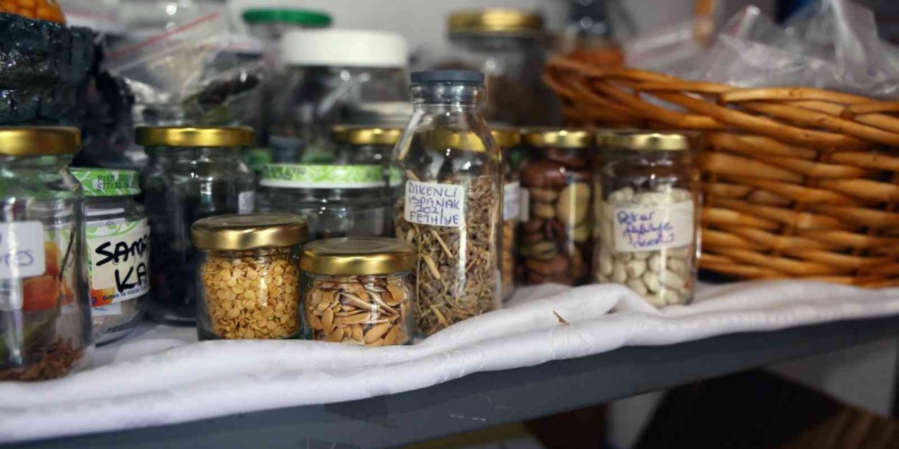 ‘Yerel Tohum Sokağı’ filiz vermeye başladı