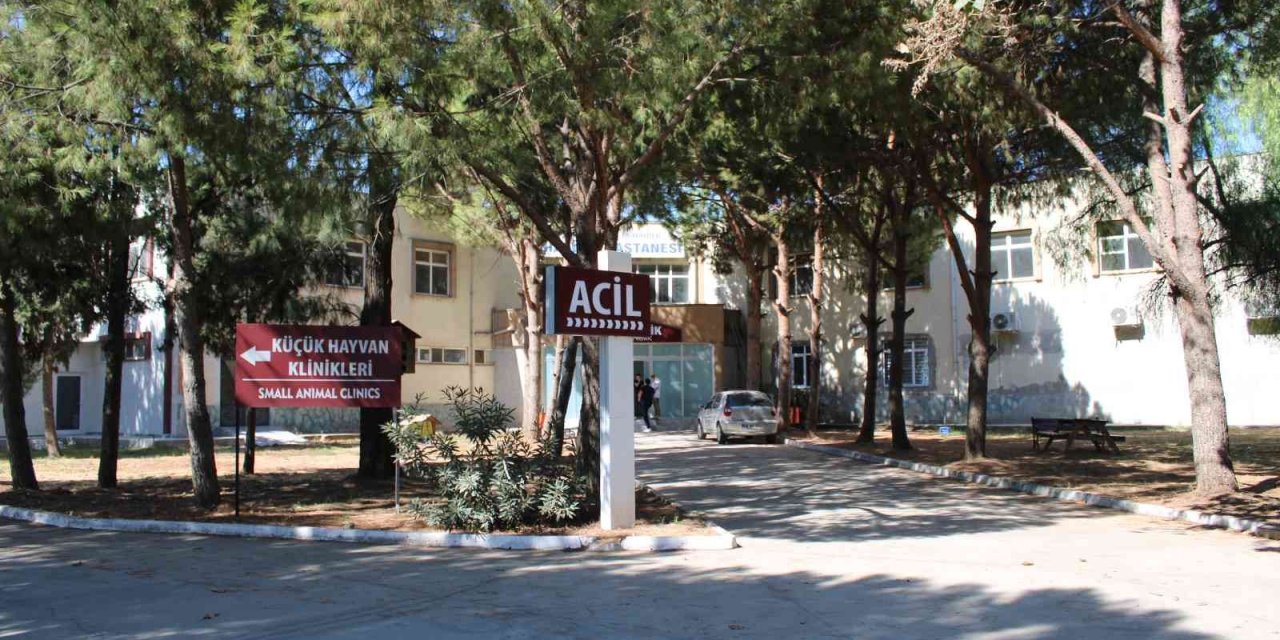 ADÜ Veteriner Fakültesi Hastanesi yılda 7 bin hasta hayvana bakıyor