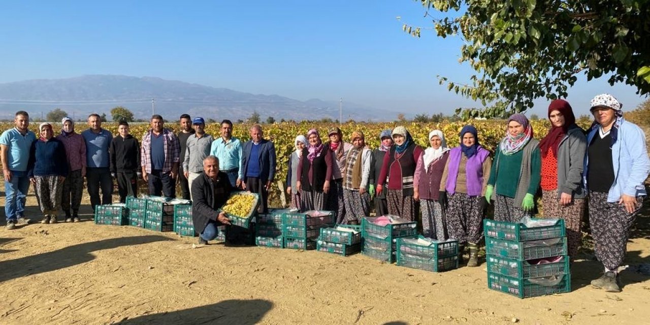 Üzüm bağında Atatürk’ü unutmadılar