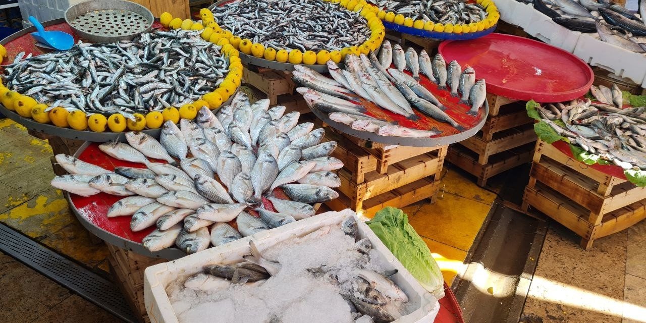 Aydın’da balık tezgahlarının yıldızı sardalya