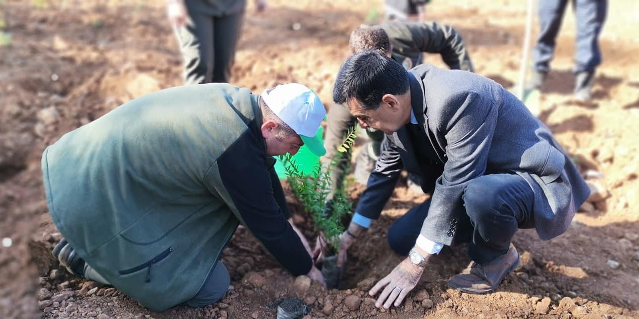 Köyceğiz’de Milli Ağaçlandırma Günü nedeniyle fidan dikildi