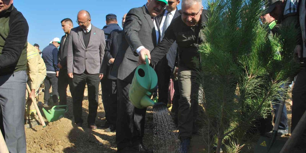 İzmir’de 42 bin fidan toprakla buluştu
