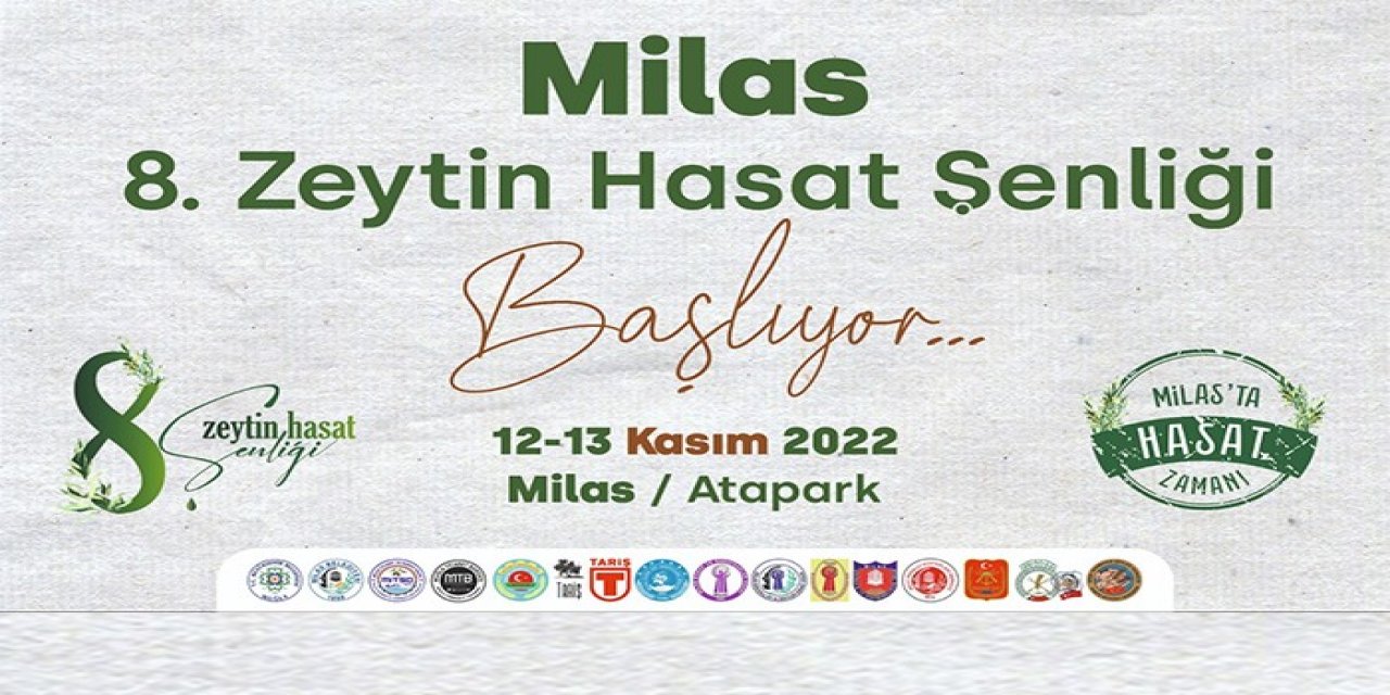 Milas’ta bu hafta sonu zeytin hasat şenliği düzenlenecek