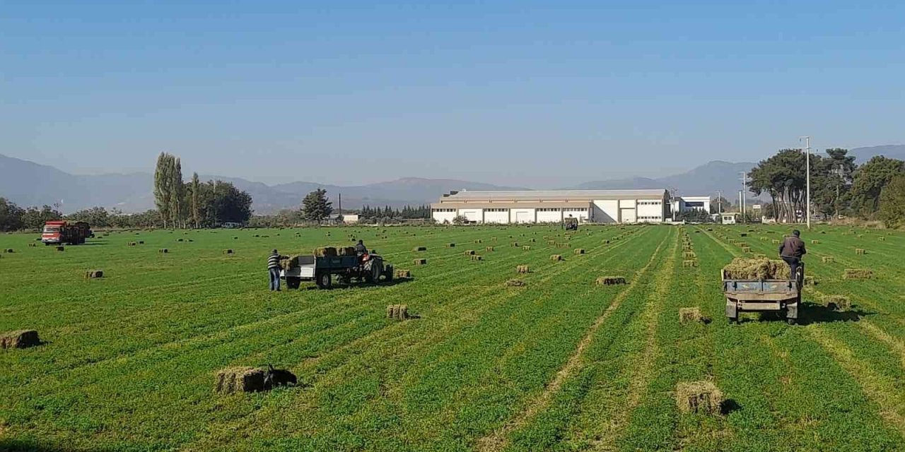 Germencik Belediyesi’nden çiftçiye can suyu