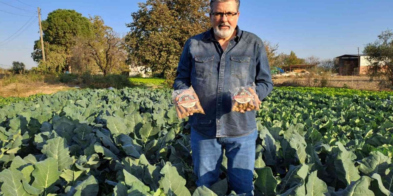 Lahana ve marul yaprakları inovasyon ile sokak hayvanlarına yem olacak