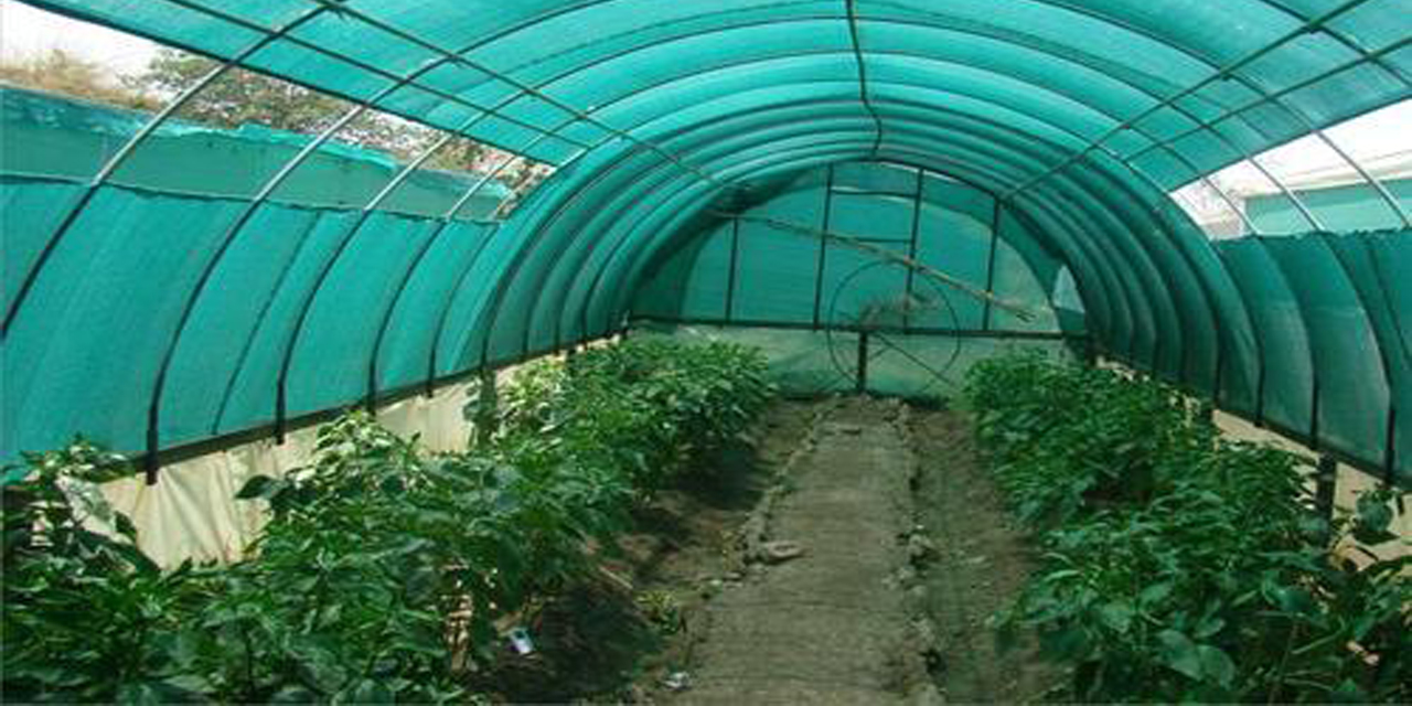 Gölgelik file nedir ve nerelerde kullanılır?