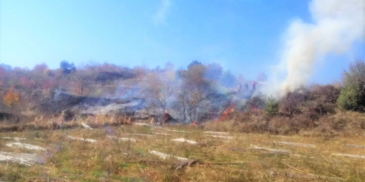 Anız yangını ormana sıçramadan söndürüldü