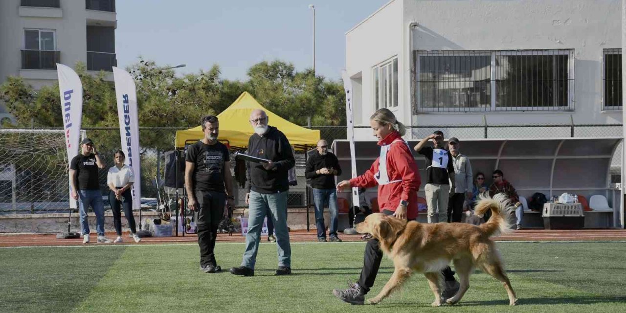 Kuşadası geleceğin arama kurtarma köpeklerini ağırladı