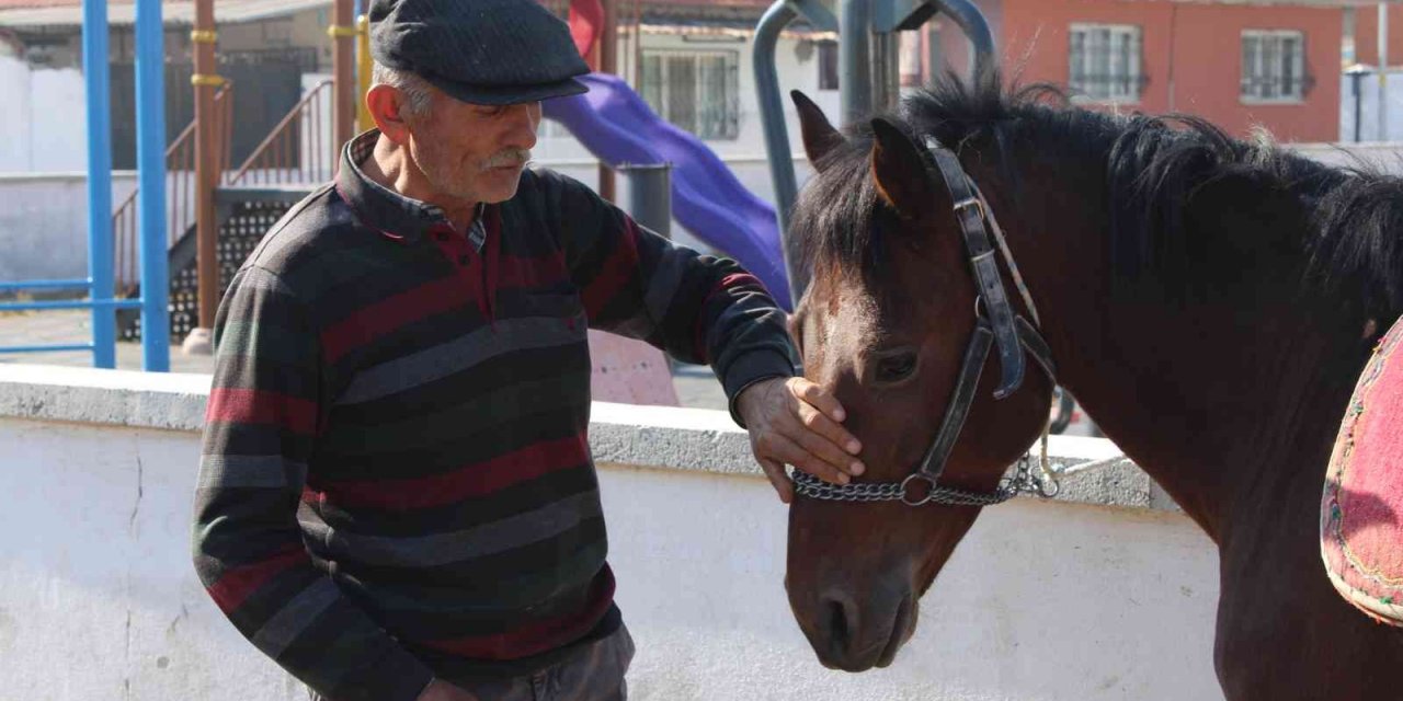 Gözü gibi baktığı rahvan atlarıyla binlerce yıllık geleneği yaşatıyor